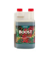 Botella de Boost Accelerator de Canna.